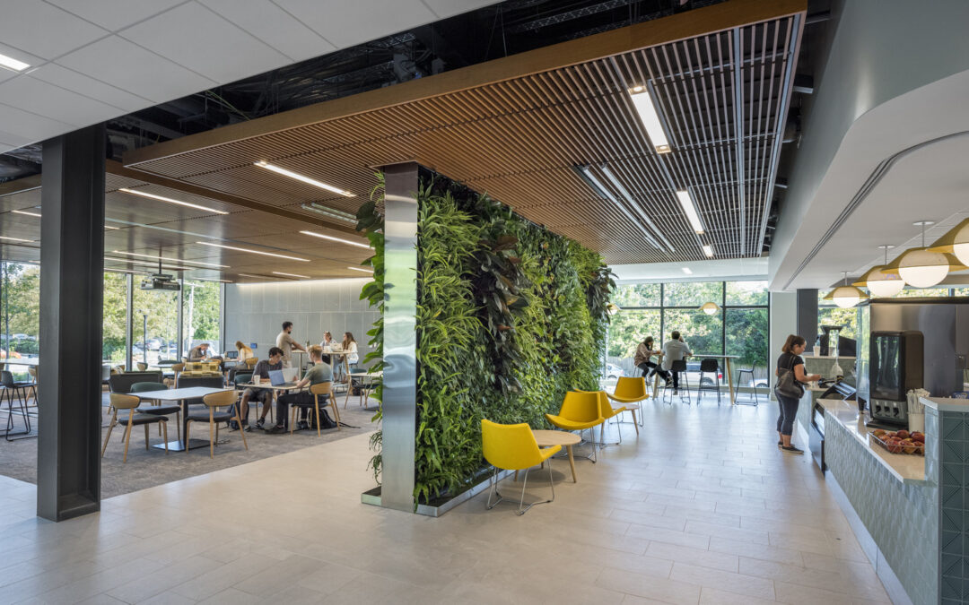 Three considerations for designing healthy and adaptable student dining