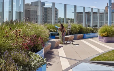 Boston Children’s Hospital Wins Green Good Design Award