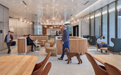 Healing Spaces: Redesigning Medical Libraries for the 21st Century