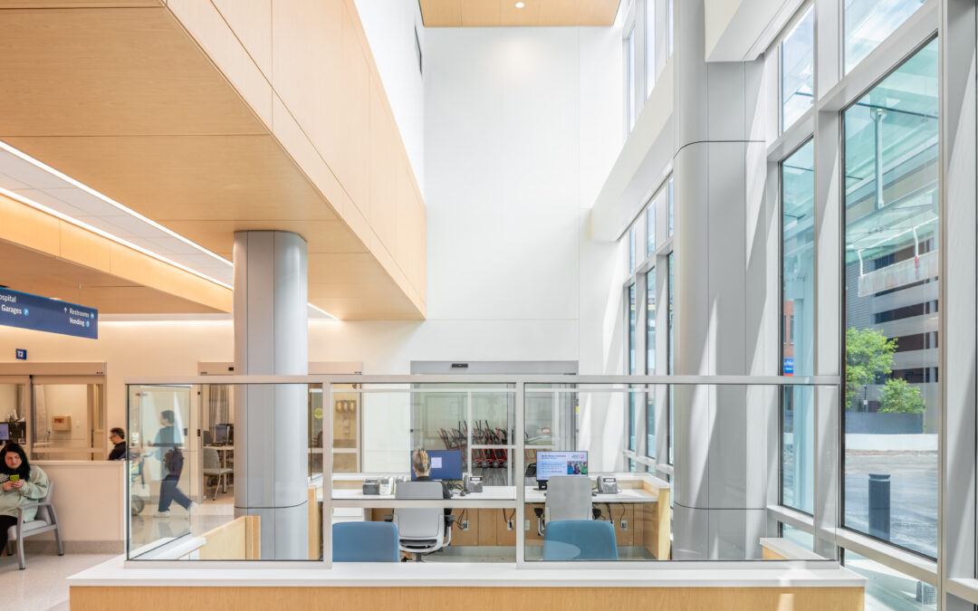 Delve: The Future of Wellness in Healthcare Design