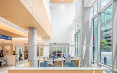 Delve: The Future of Wellness in Healthcare Design
