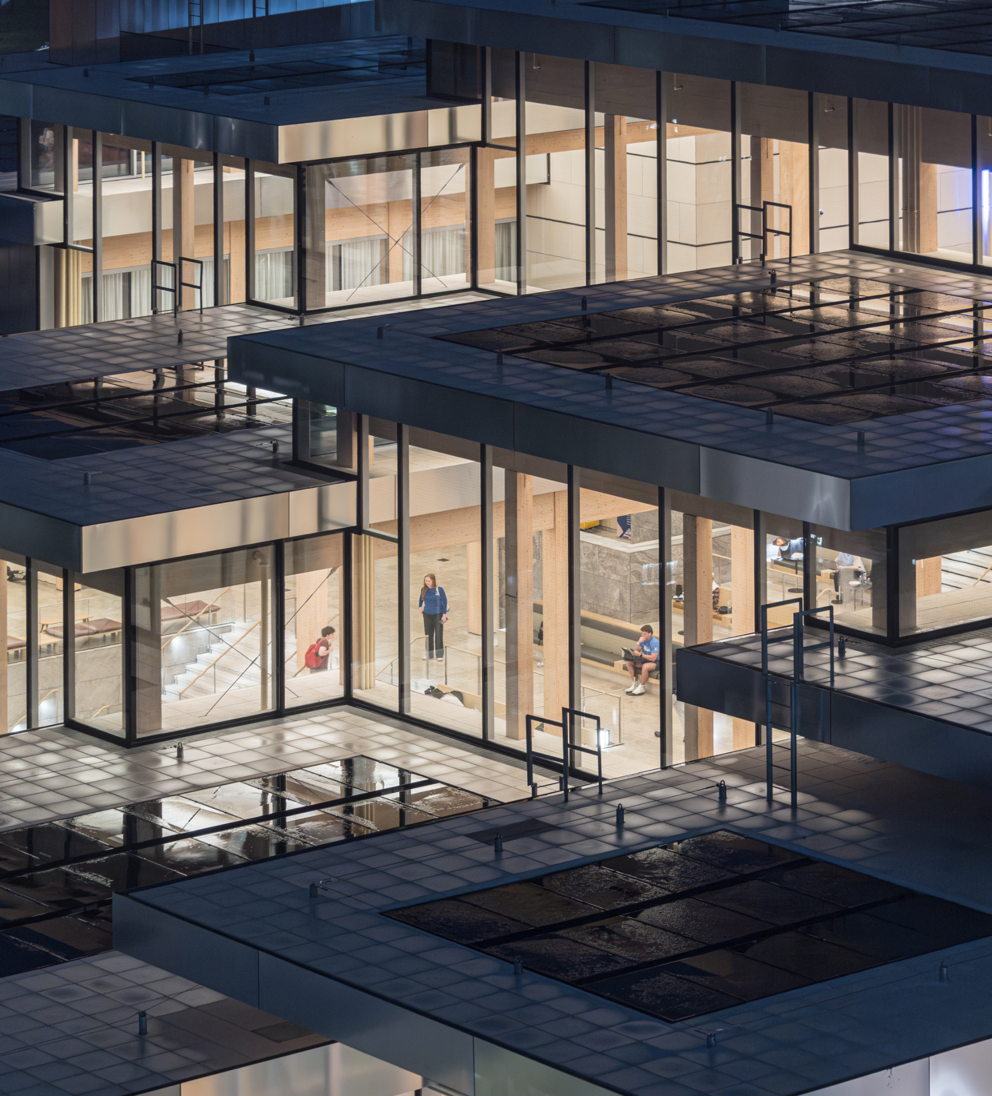 Architecture Firm - Biophilic Designs