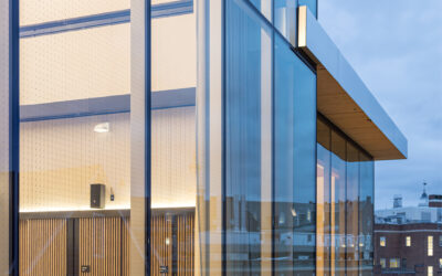 Building Green: Save the Birds