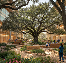 06_OakCourtyard_5K_RESIZED Architecture Firm - Biophilic Designs