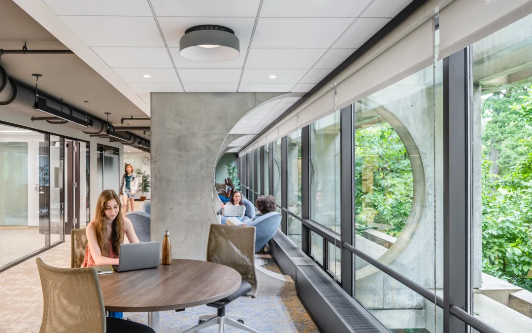 Designing Libraries: Learning from Biophilia